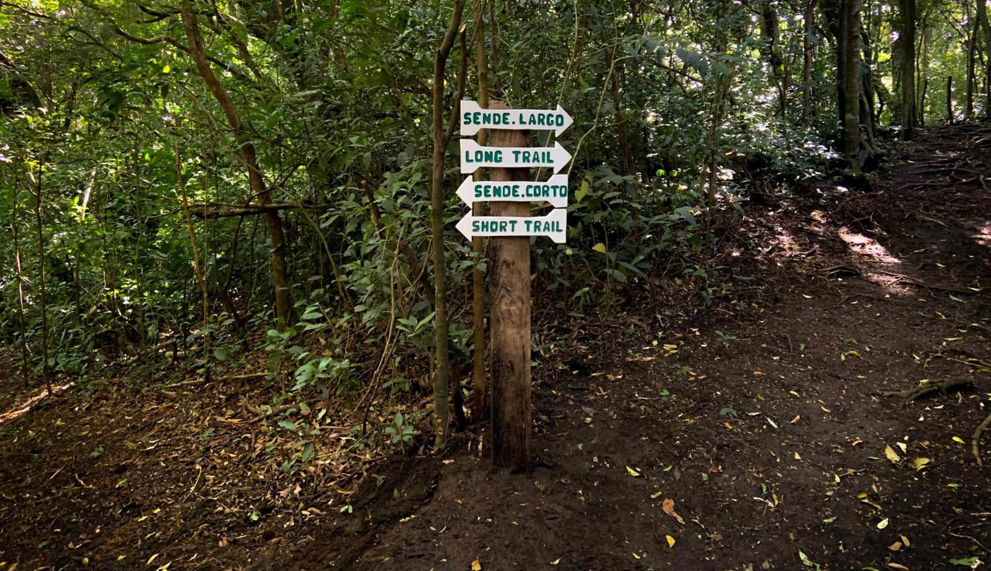 Hotel Montana Monteverde Eksteriør billede