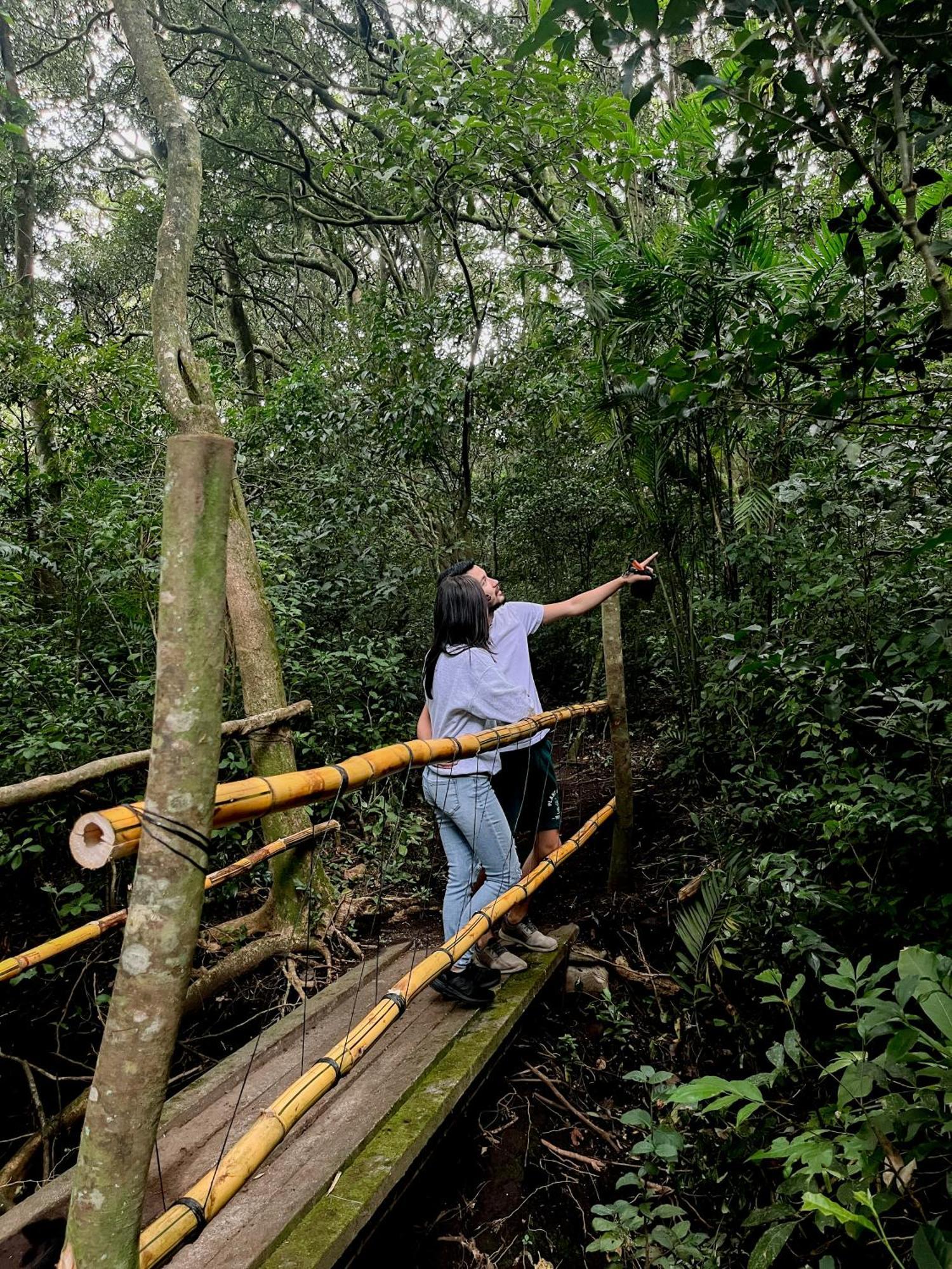 Hotel Montana Monteverde Eksteriør billede